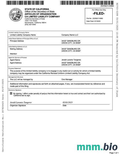 Usa California artykuły organizacji Spółka z ograniczoną odpowiedzialnością Word i szablon PDF